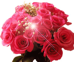 Розы с бликами - Открытки с розами