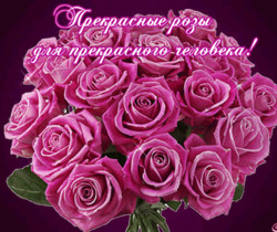 Прекрасные розы для прекрасного человека - Открытки с розами