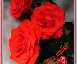 Розы с сердечком - Открытки с розами