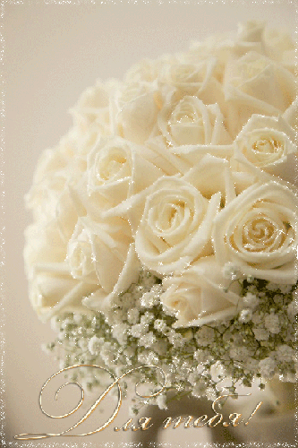 Белые розы картинки - Открытки с розами, gif скачать бесплатно