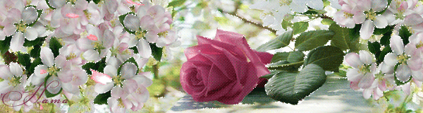 Цветущая роза - Открытки с розами, gif скачать бесплатно