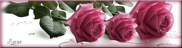 Три розы - Открытки с розами, gif скачать бесплатно