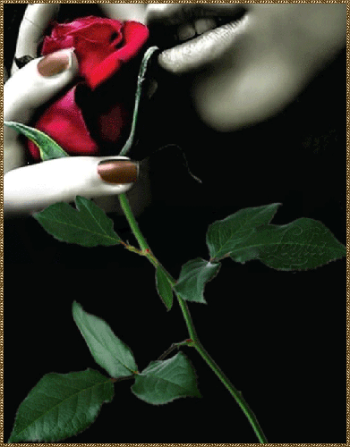 Аромат розы - Открытки с розами, gif скачать бесплатно