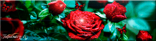 Сверкающие алые розы - Открытки с розами, gif скачать бесплатно