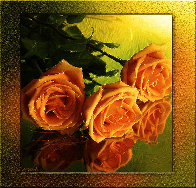 Оранжевые розы - Открытки с розами, gif скачать бесплатно